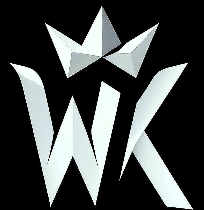 Wiseking Logo